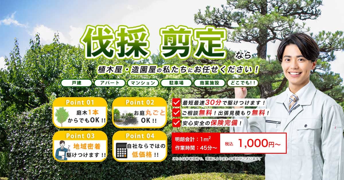 庭吾郎 | 庭木・植木の伐採剪定